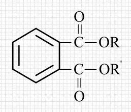 鄰苯二甲酸酯 (PHTHALATE) 危害有哪些？